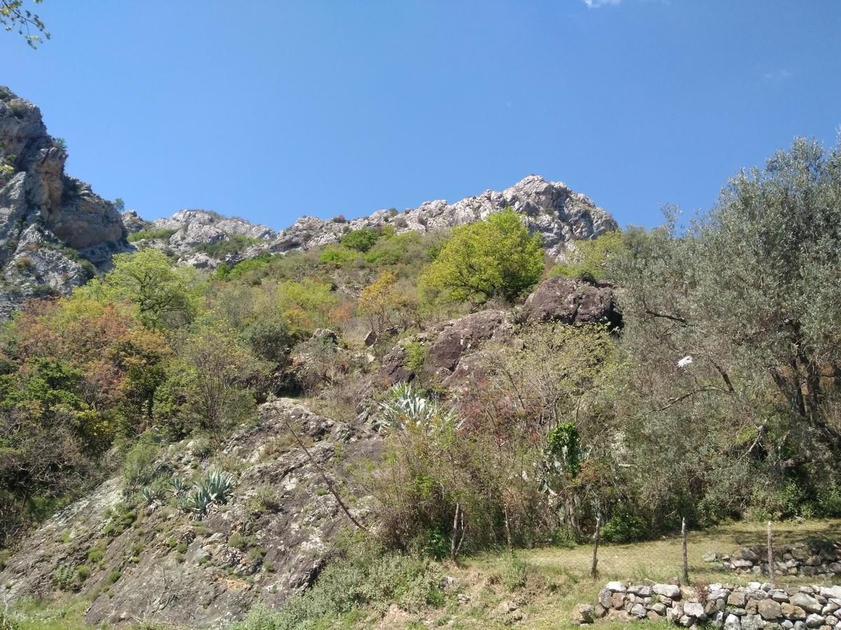 Дома для отпуска Rustic Stone House Бар